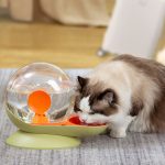 Pet Food Bowls