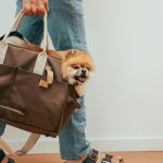 Pet Storages & Bags