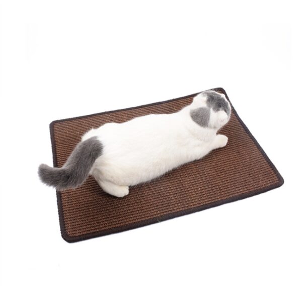 Cat Scratch Pad Dierbenodigdheden Tapijt Slaapmat Kat Placemat, Levering in willekeurige kleur, Overlock 30x40cm, Overlock 40x60cm, Overlock 50x80cm, Overlock 60x90cm