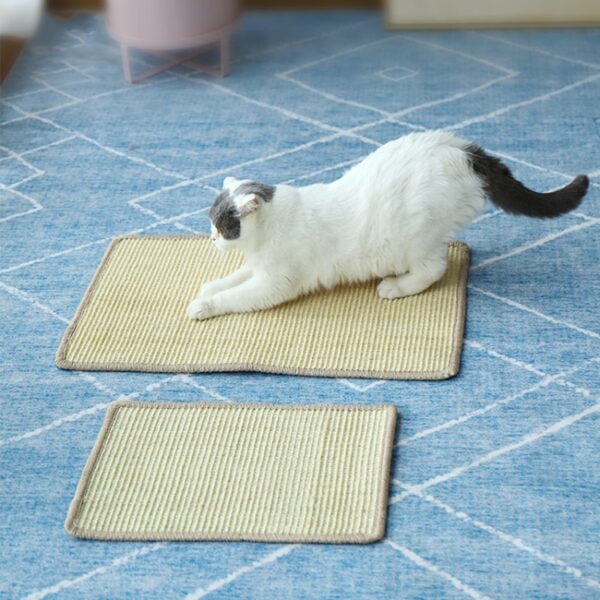 Cat Scratch Pad Dierbenodigdheden Tapijt Slaapmat Kat Placemat, Levering in willekeurige kleur, Overlock 30x40cm, Overlock 40x60cm, Overlock 50x80cm, Overlock 60x90cm - Afbeelding 2