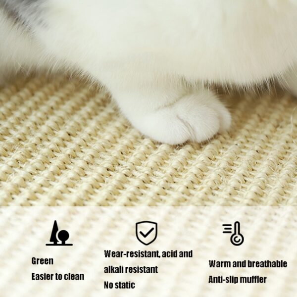 Cat Scratch Pad Dierbenodigdheden Tapijt Slaapmat Kat Placemat, Levering in willekeurige kleur, Overlock 30x40cm, Overlock 40x60cm, Overlock 50x80cm, Overlock 60x90cm - Afbeelding 4