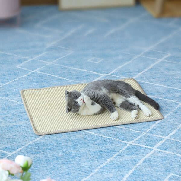 Cat Scratch Pad Dierbenodigdheden Tapijt Slaapmat Kat Placemat, Levering in willekeurige kleur, Overlock 30x40cm, Overlock 40x60cm, Overlock 50x80cm, Overlock 60x90cm - Afbeelding 5
