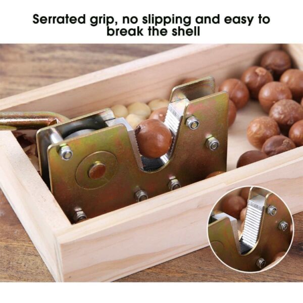 Nut Walnut Macadamia Opener Fruit Opener - Afbeelding 6