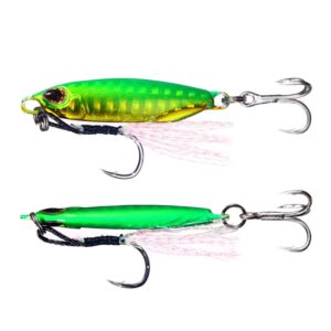 2 STKS HENGJIA Shore Casting Lood Vis Lange afstand Casting Sinker Dubbele Haak Lokken, 16g, 32g