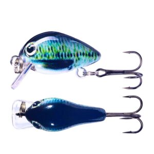 HENGJIA 2 stks 2.5 cm 1.5g Drijvend Water Weinig Vet Micro-Object Mini 3D Afdrukken Luya Aas