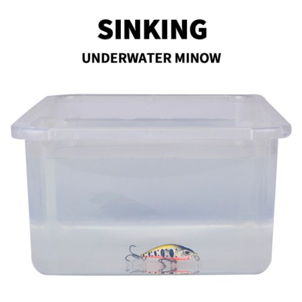 5.3cm 4.6g Zinkende Minnow Lokken Lange Casting Bionische Plastic Harde Aas Visgerei, PROBEROS DW577 8003 Hook, PROBEROS DW578 Ordinary Hook - Afbeelding 10