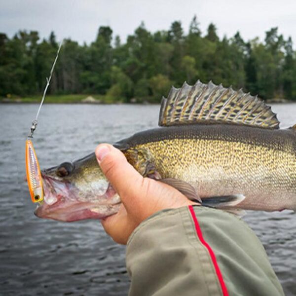 HENGJIA PO105 Surface Tethered Wave Steak 11CM 23G Bionic Lure Fake Bait, 5colors / Set - Afbeelding 6