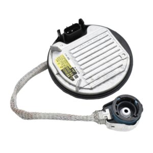 Originele auto xenon lamp D4RD4S 45W ronde ballast